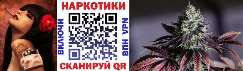 Виды наркотиков купить Оса Alpha-PVP Псилоцибиновые грибы NBOMe Амфетамин Меф