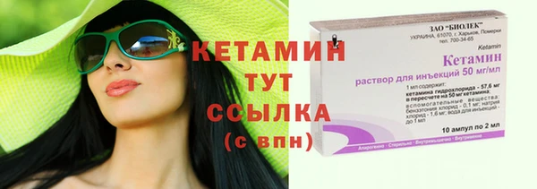 трава Новозыбков