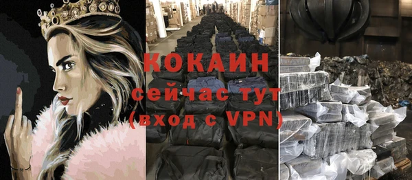 трава Новозыбков