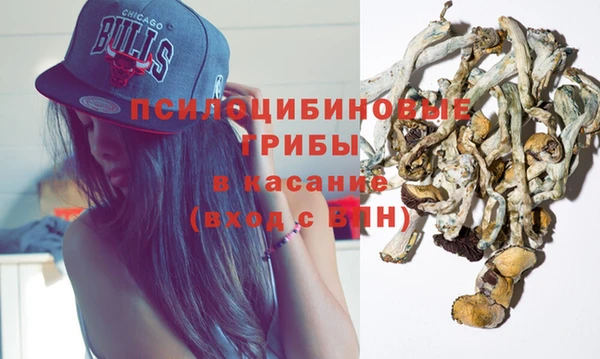 каннабис Новодвинск