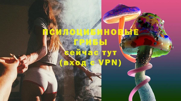 каннабис Новодвинск