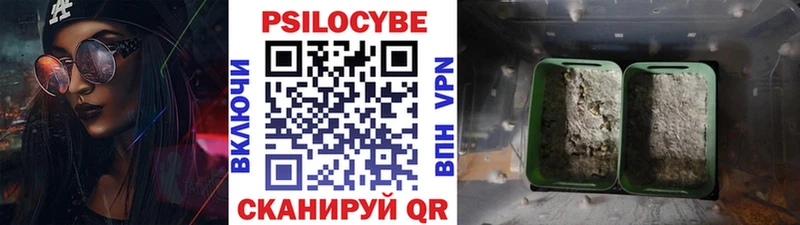 Псилоцибиновые грибы мухоморы  где купить наркоту  Оса 